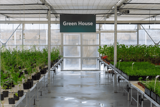 ROSHN Green Initiative Center, Green House