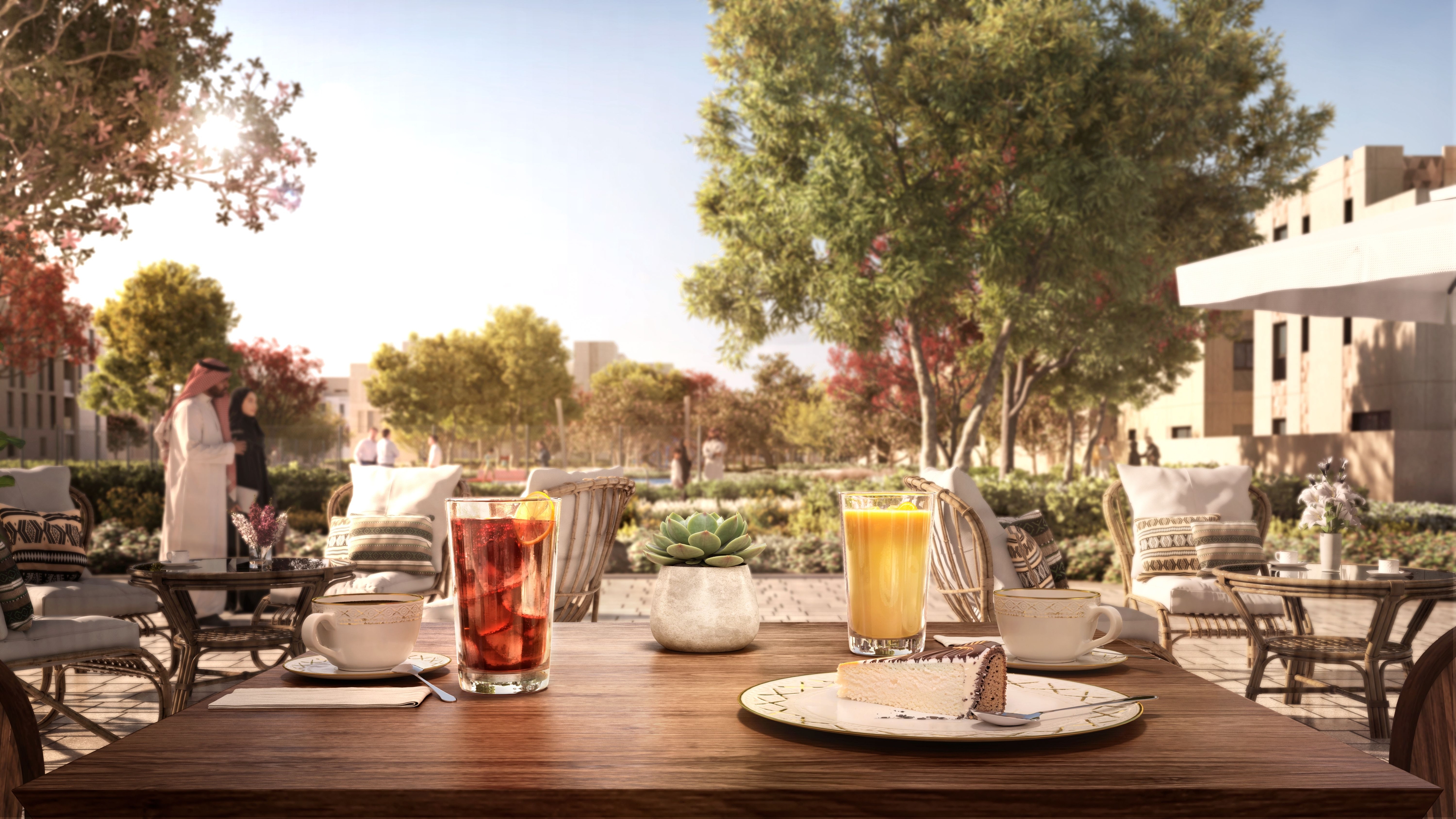 SEDRA image 2 سدرة