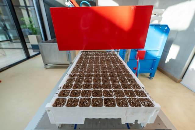 Plants at ROSHN Green Initiative Center