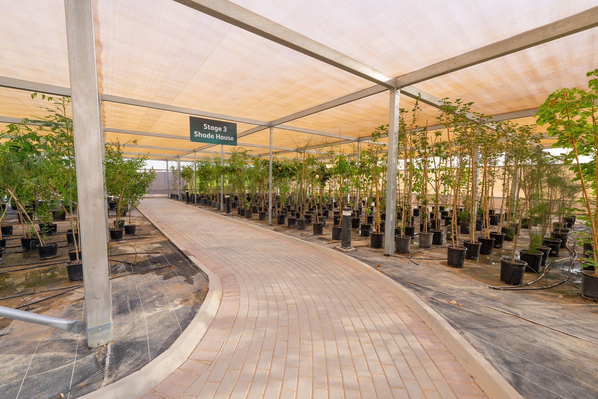 ROSHN Green Initiative Center pathway