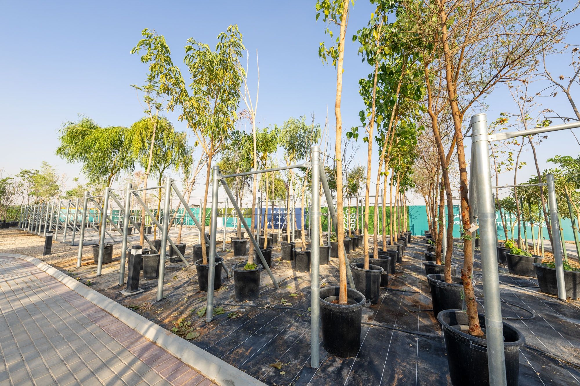 ROSHN Green Initiative Center, Outdoor Area