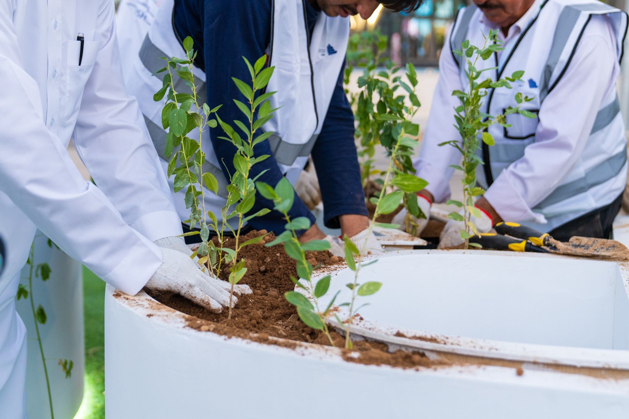 People engaged at ROSHN Green Initiative Center