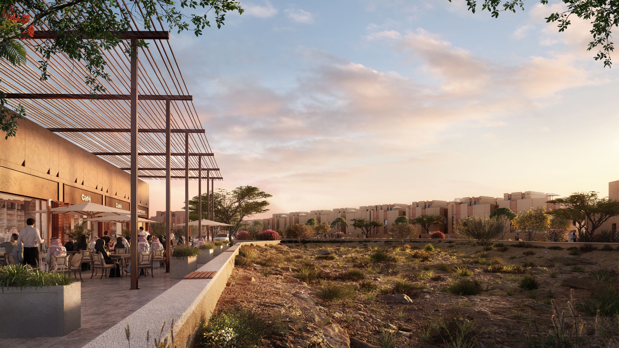 SEDRA new release سدرة