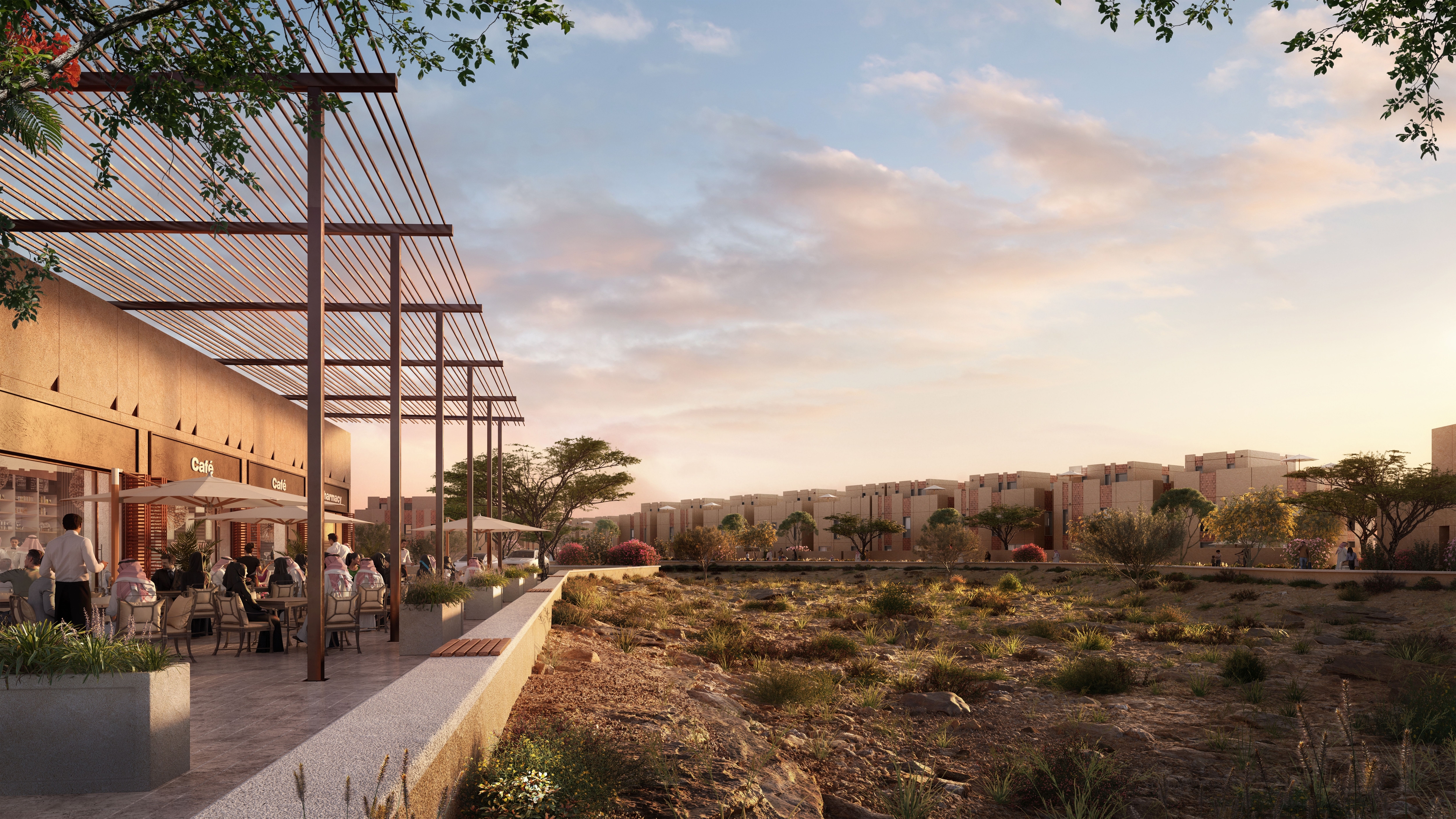 SEDRA new release سدرة