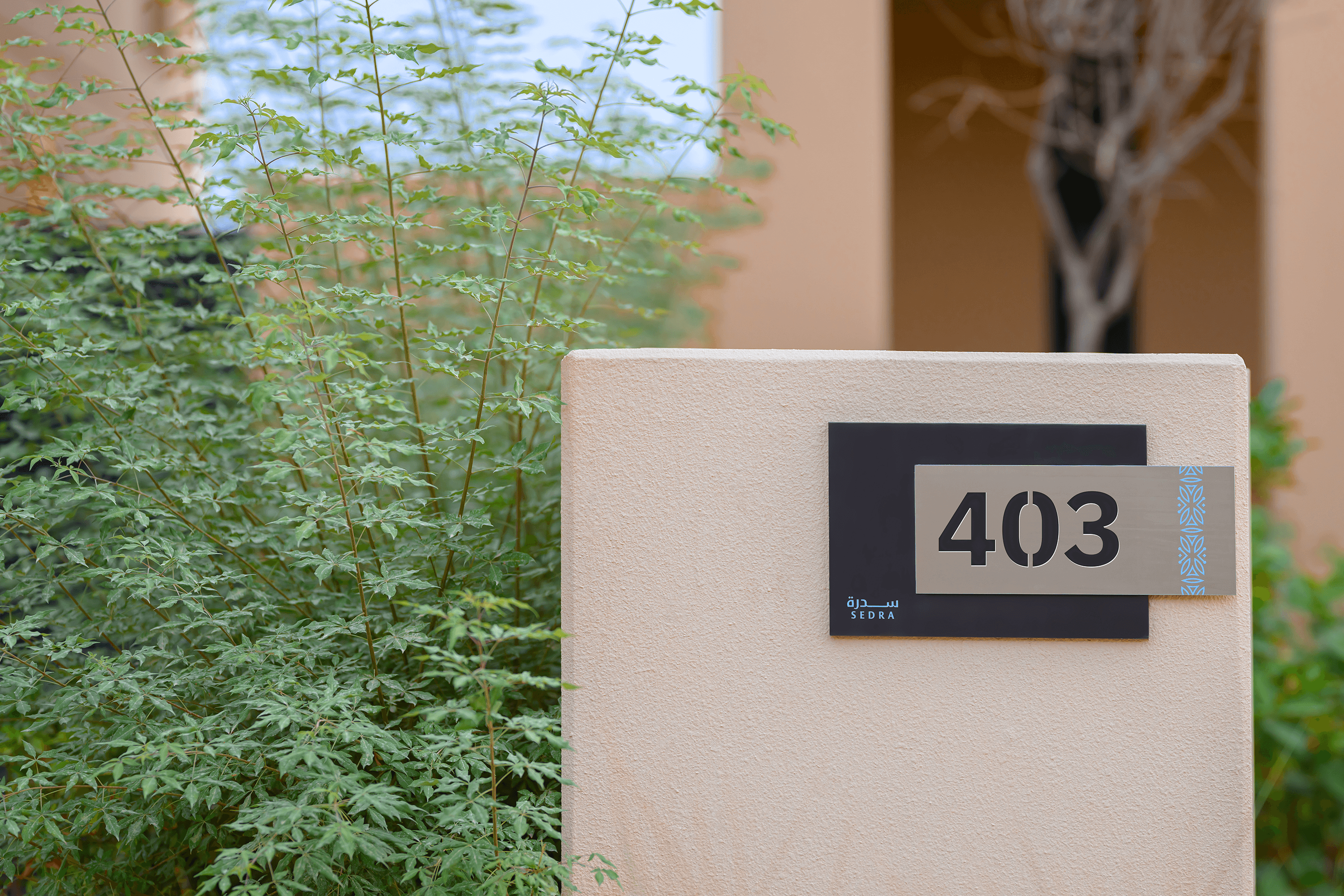 SEDRA new release home | سدرة