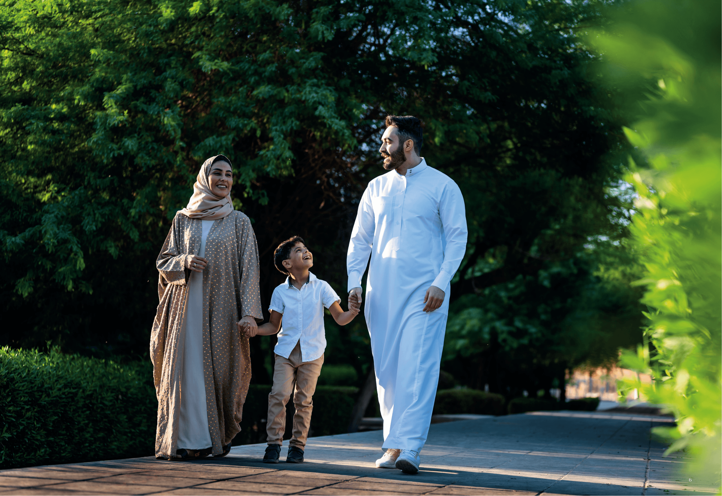 SEDRA new release 6 | سدرة